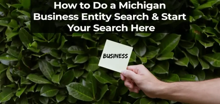 Michigan Business Entity Search