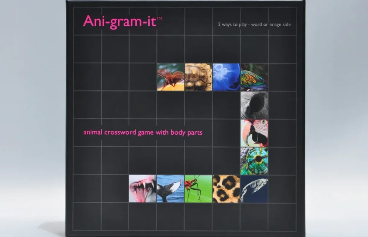  Anigrams Game