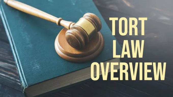 Torts law
